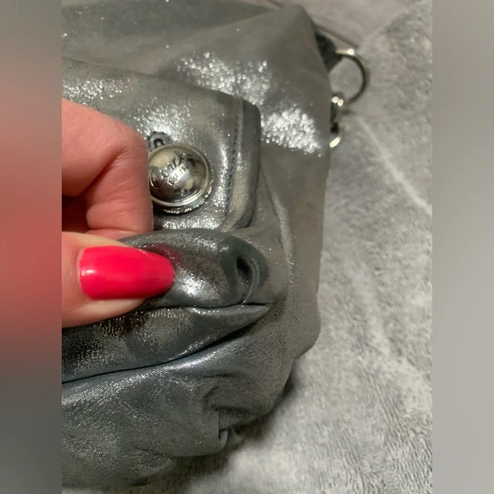 Coach Metallic Silver Poppy Hobo Bag